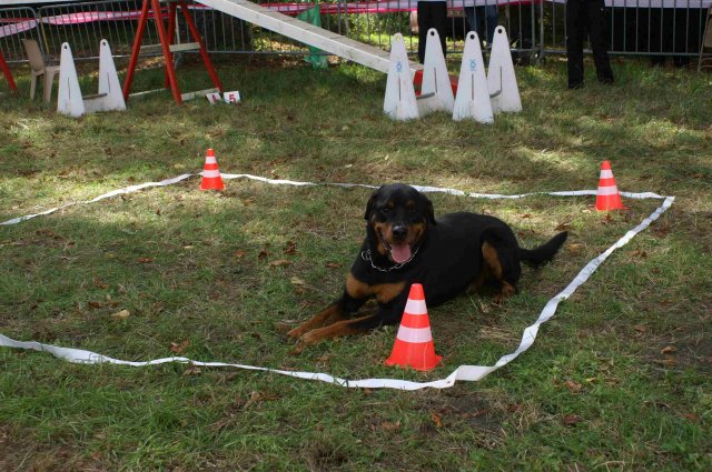 foire-haricots 2011-09-17et18